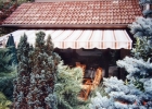 tenda